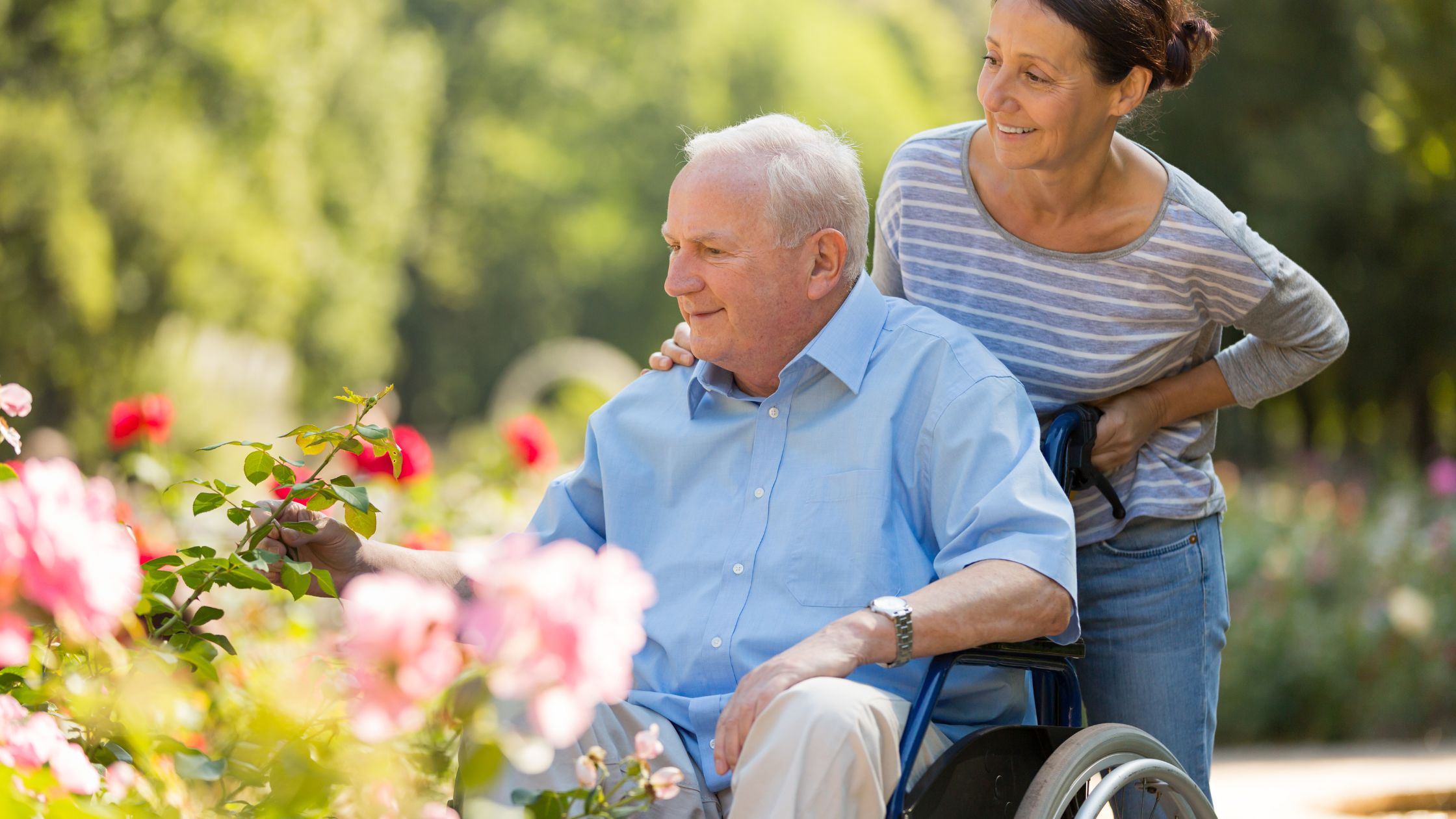 understanding assisted living